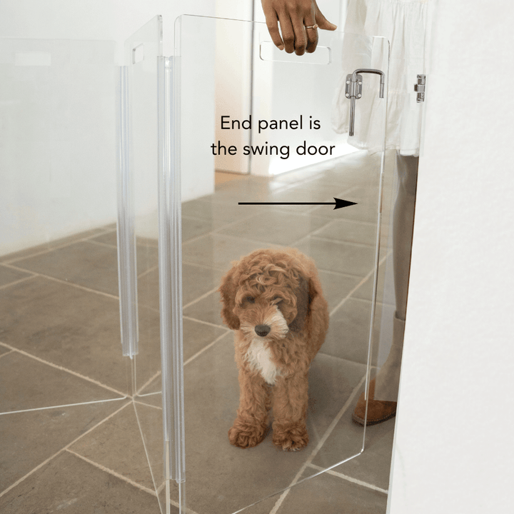 Hiddin Clear Acrylic Wall-Mounted Zig Zag Pet Gate – 24 in High