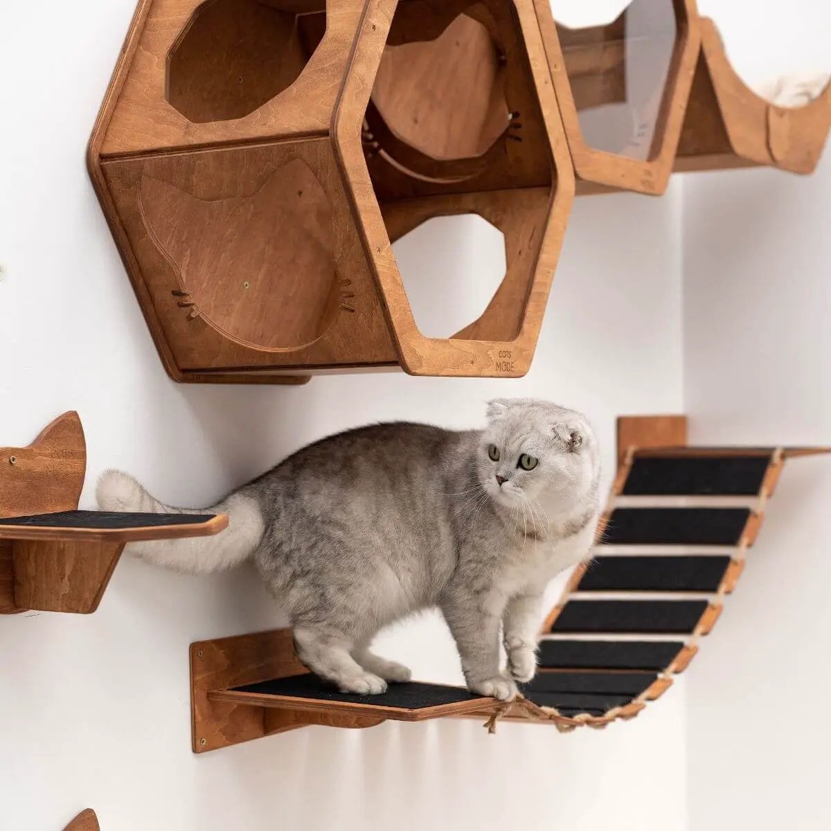 Enjoy The Wood Cat Rope Bridge Oak 48 Inch Wall Playpath With Felt Stairs Eco Friendly Climber For Pets by Enjoy The Wood