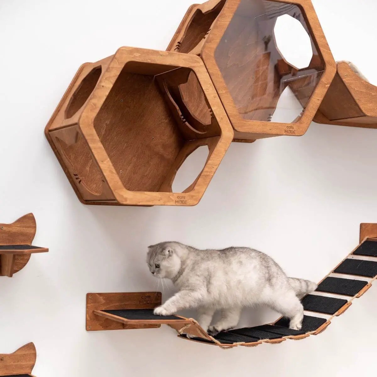 Enjoy The Wood Cat Rope Bridge Oak 48 Inch Wall Playpath With Felt Stairs Eco Friendly Climber For Pets by Enjoy The Wood