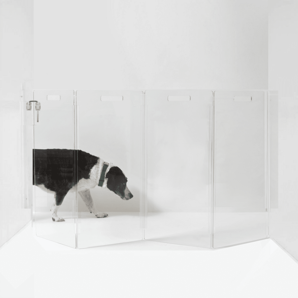 Hiddin Clear Acrylic Wall-Mounted Zig Zag Pet Gate – 30 in High