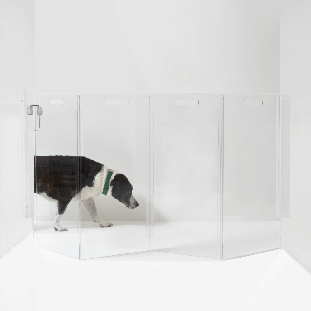 Hiddin Clear Acrylic Wall-Mounted Zig Zag Pet Gate – 30 in High