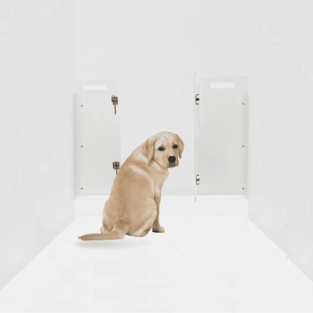 Hiddin Clear Acrylic Pet Gate with Door – Wall-Mounted, 30 in High