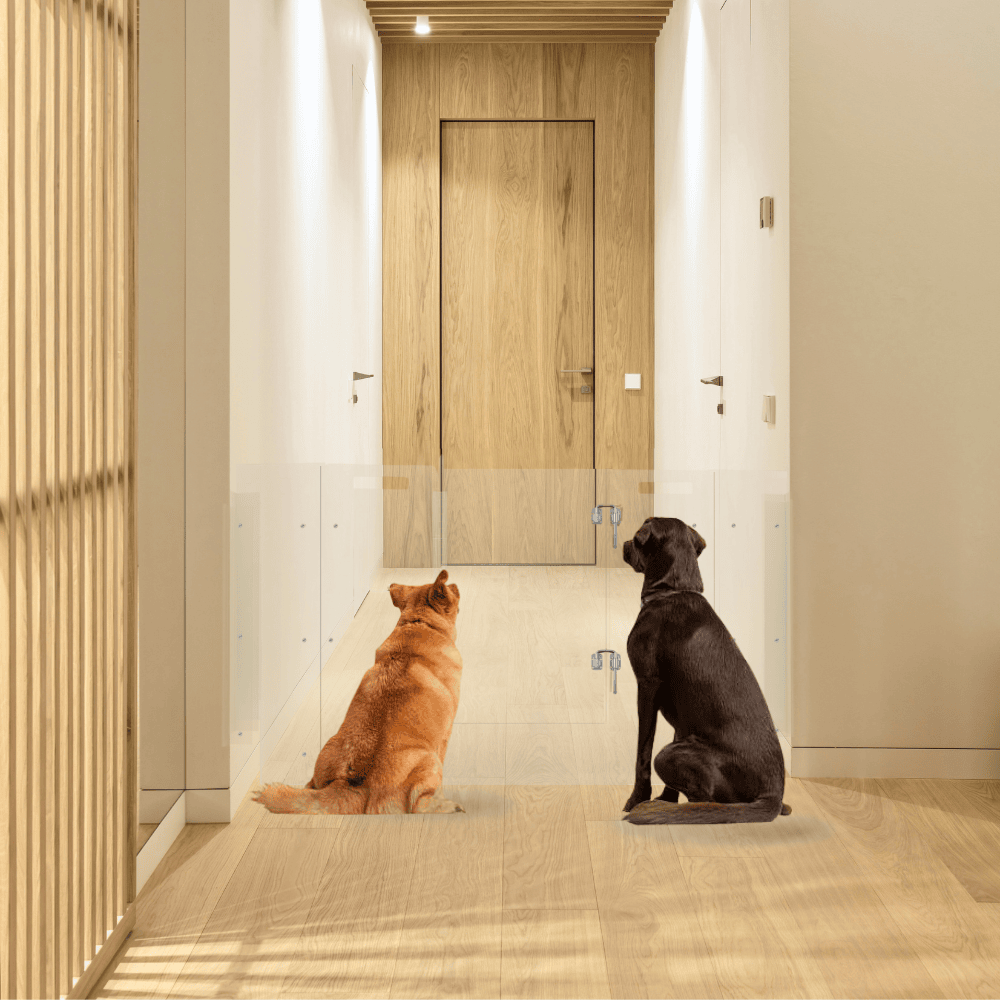 Hiddin Clear Acrylic Pet Gate with Door – Wall-Mounted, 30 in High