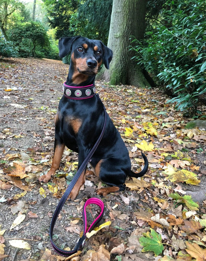 Bestia Bijou black leather dog collar with pink rhinestones