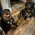 Charger l'image dans la visionneuse de la galerie, "Maximus Black" BIG dog SET- Harness - collar - lead. Brass rivets - Pet Collars & Harnesses from Bestia Dog Gear

