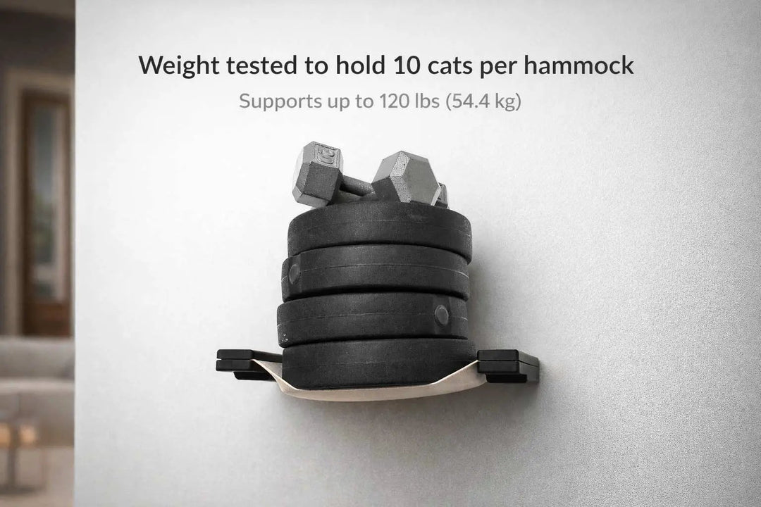 Cat Maze Wall 3-Tier Cat Tree, cat condo by Catastrophic Creations in black