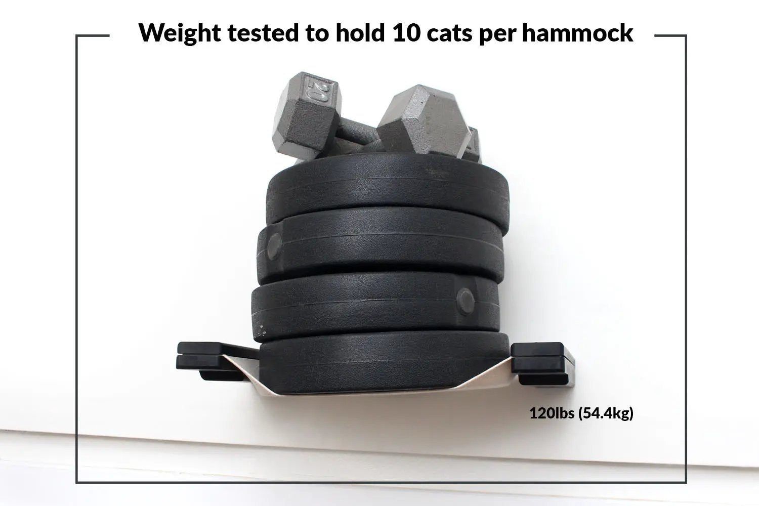 The Temple Giant Cat Tree on Wall: black weight plates stacked with two gray dumbbells on a wall-mount base