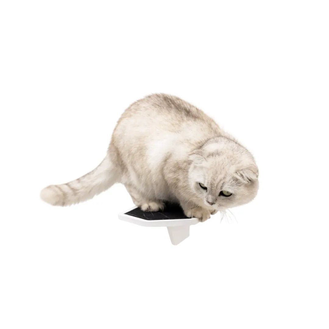 Enjoy The Wood Pristine White Wooden Cat Step Secure Durable Landing by Enjoy The Wood