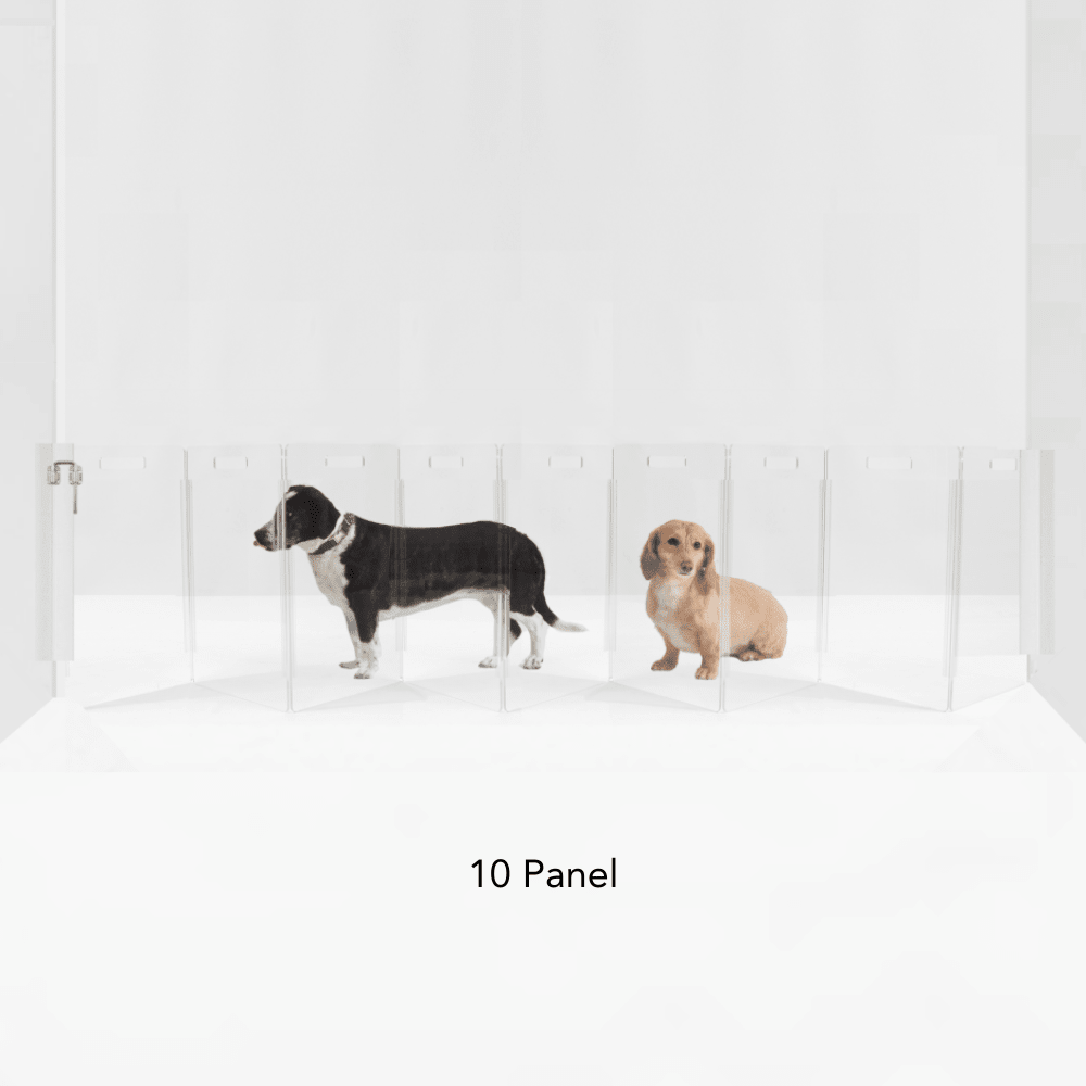 Hiddin Clear Acrylic Wall-Mounted Zig Zag Pet Gate – 24 in High
