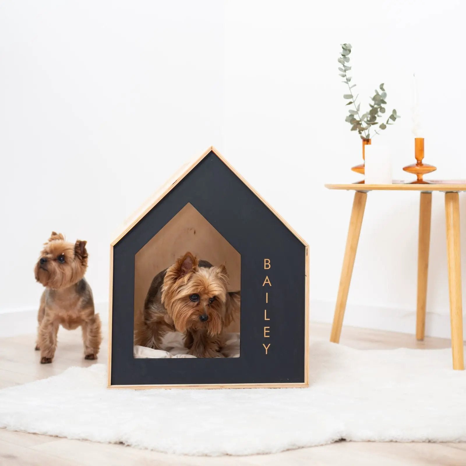 Booth High Quality Dog House Black Durable Outdoor Shelter With Roof by Enjoy The Wood