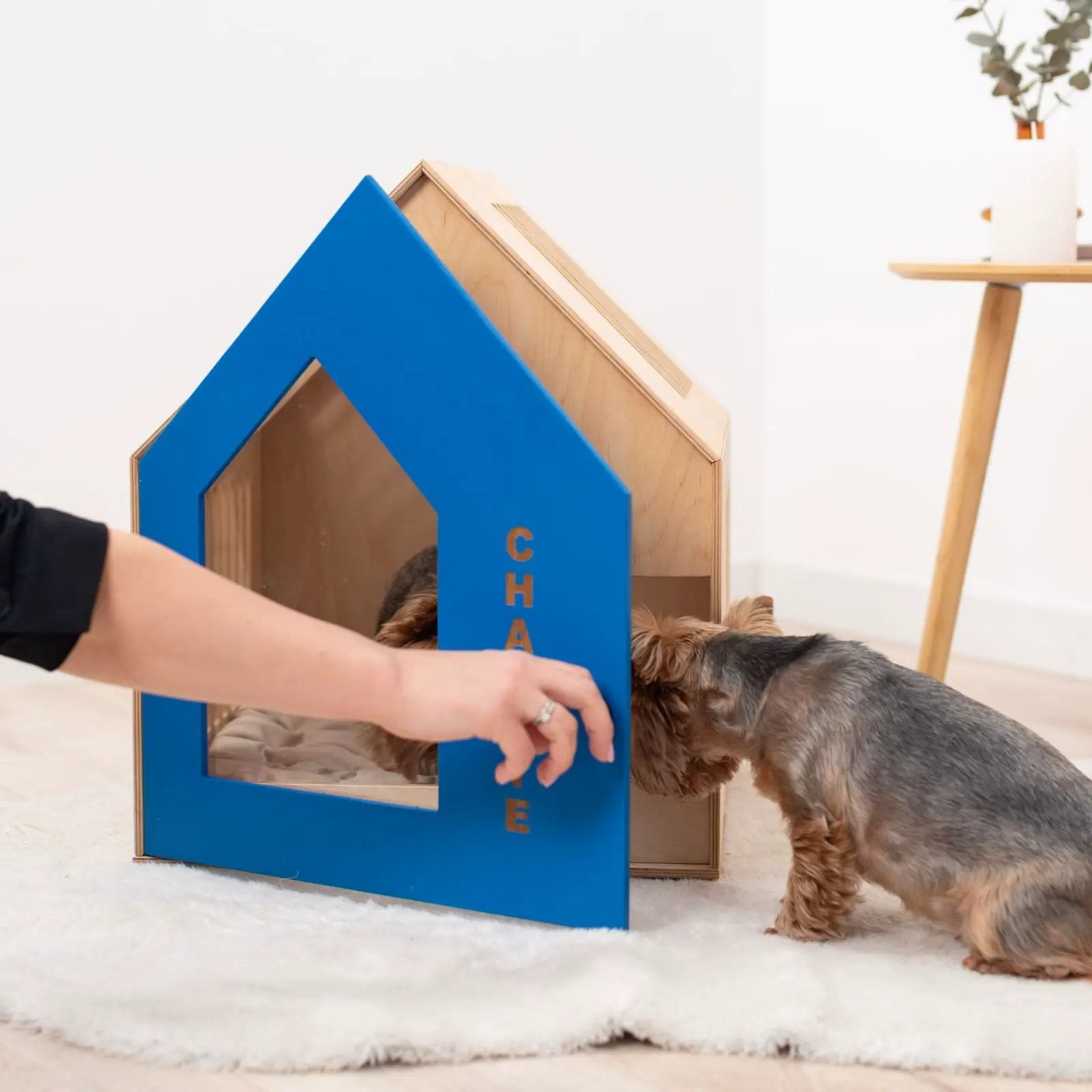 Booth Premium Blue Wooden Dog House Compact Indoor Puppy Secure Retreat For Small Pets Polished Look by Enjoy The Wood