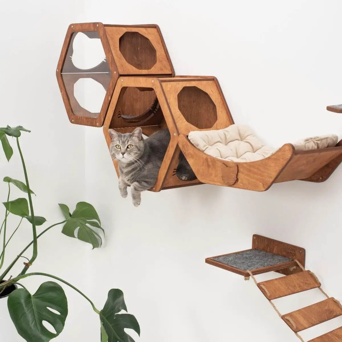 OakHaven Premium Solid Wood Wall Mounted Cat Shelf For Active Cats by Enjoy The Wood