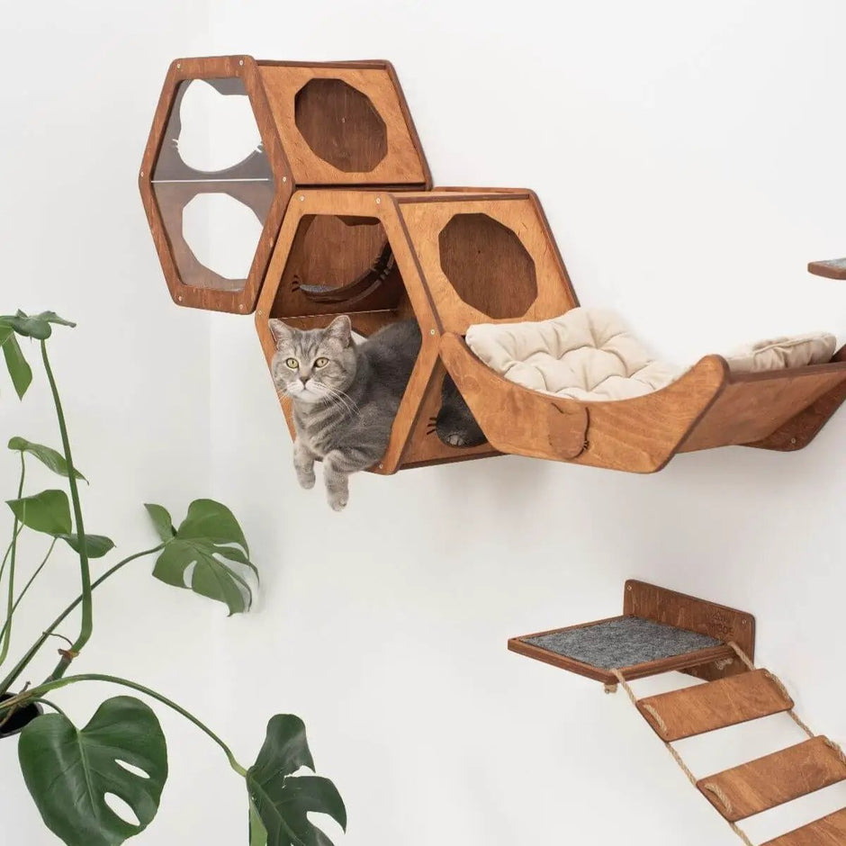 OakHaven Premium Solid Wood Wall Mounted Cat Shelf For Active Cats by Enjoy The Wood