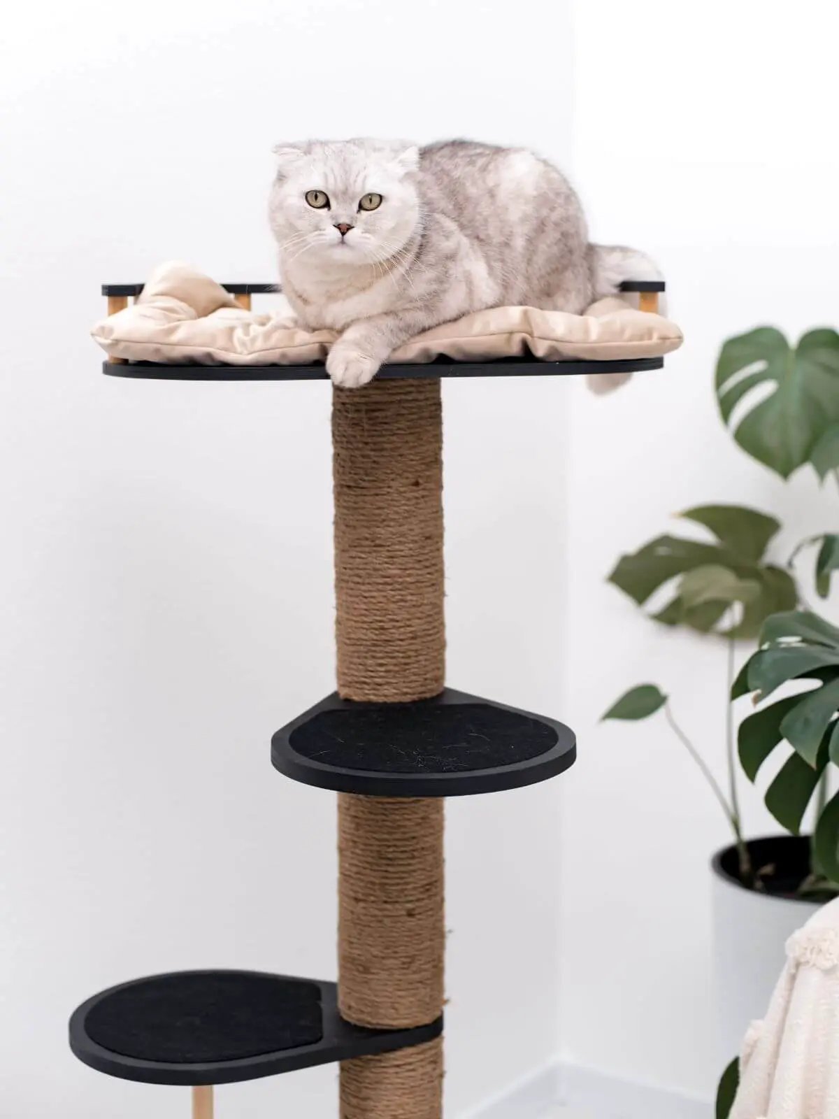 WoodCraft Wooden Cat Tree With Natural Plywood And Durable Twine Wrapping For Indoor Pets by Enjoy The Wood