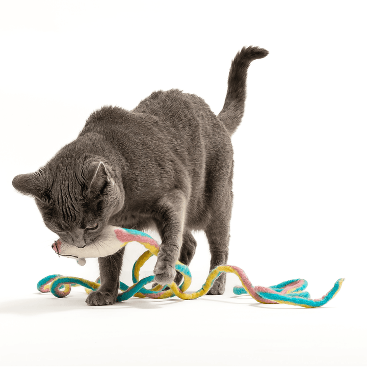 Catch a Mouse by the Tail - Wool Cat Toy, gray plush cat with colorful rope