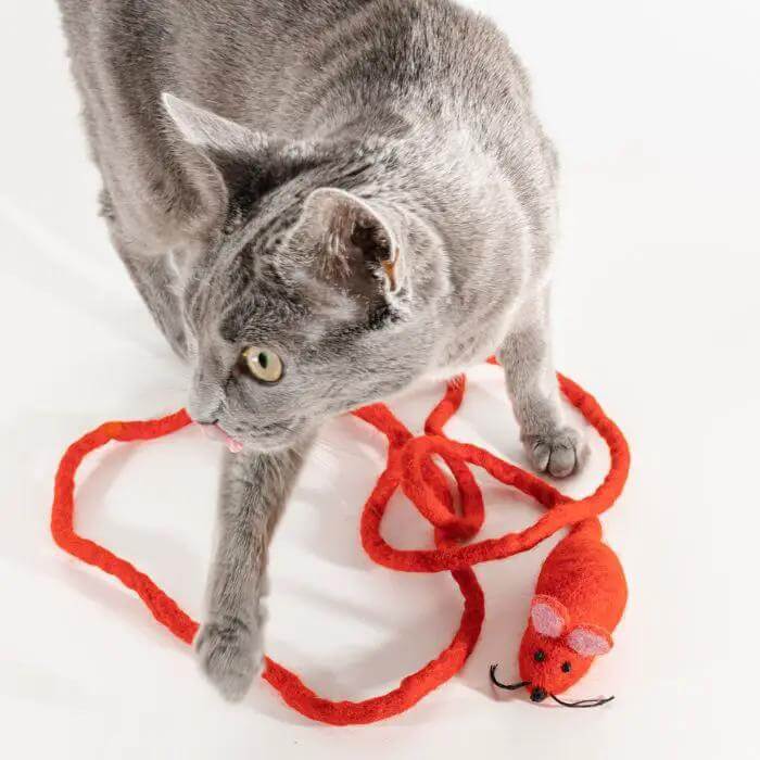 Catch a Mouse by the Tail Wool Cat Toy; red yarn mouse on a red string with a gray cat nearby