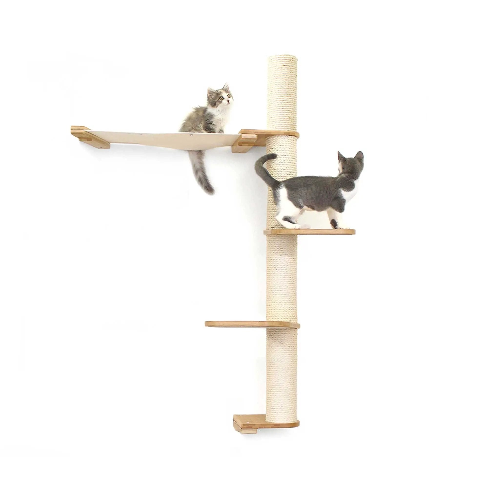 The Crow's Nest wall cat scratcher with hammock by Catastrophic Creations; beige sisal post, two cats.