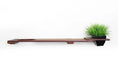Load image into Gallery viewer, Cat Plant Stand for Wall wooden shelf with black planter and green grass-like plant
