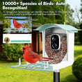 Carica l'immagine nel visualizzatore della galleria, High Quality Solar Powered Smart Bird Feeder with High Definition Camera and Mobile App Control by Anti Spier
