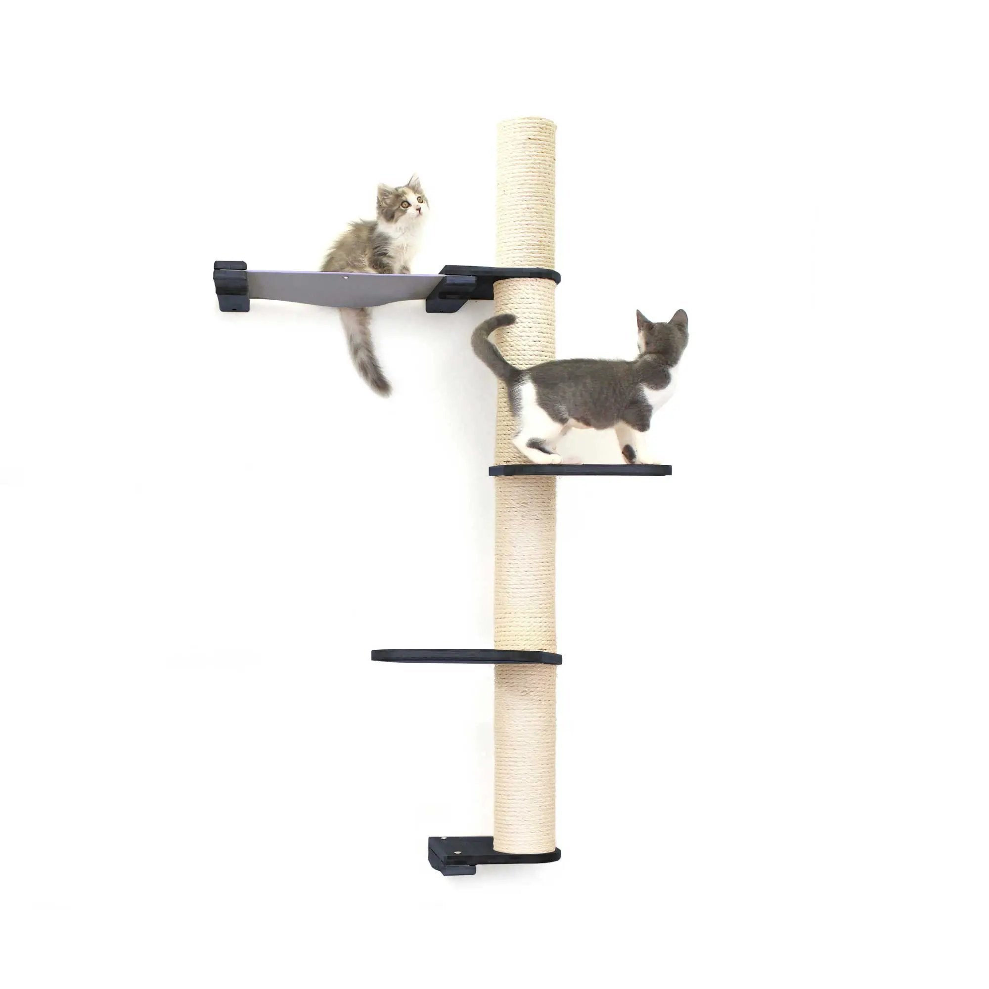 The Crow's Nest wall cat scratcher with hammock; sisal rope post and platforms, two cats.
