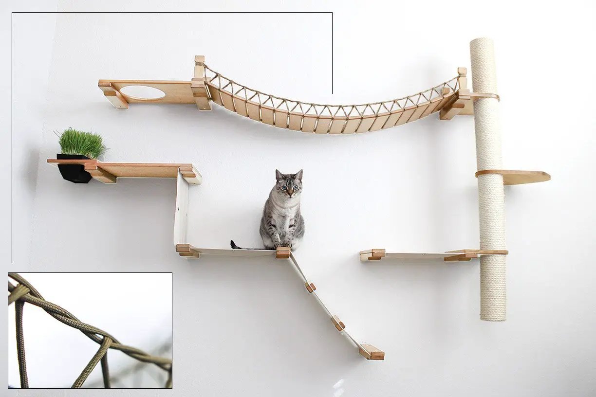The Expedition Cat Jungle Gym Wall System by Catastrophic Creations - wooden cat condo with rope net and sisal post.