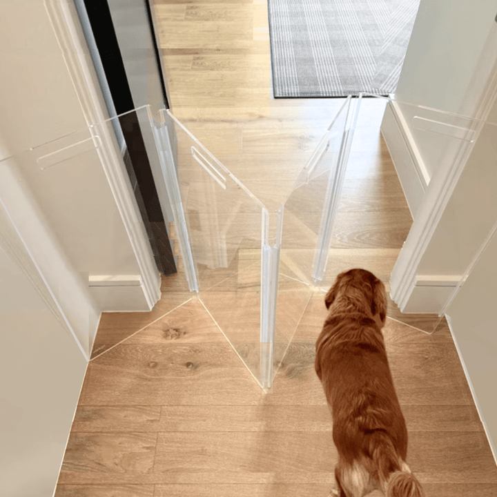 Hiddin Tall Clear Acrylic Zig Zag Pet Gate – Freestanding